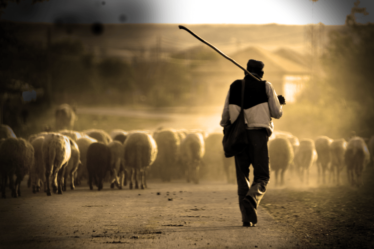 discípulos secretos de Jesús