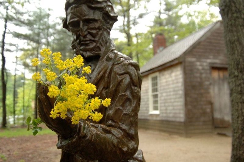 Henry-David-Thoreau Walden